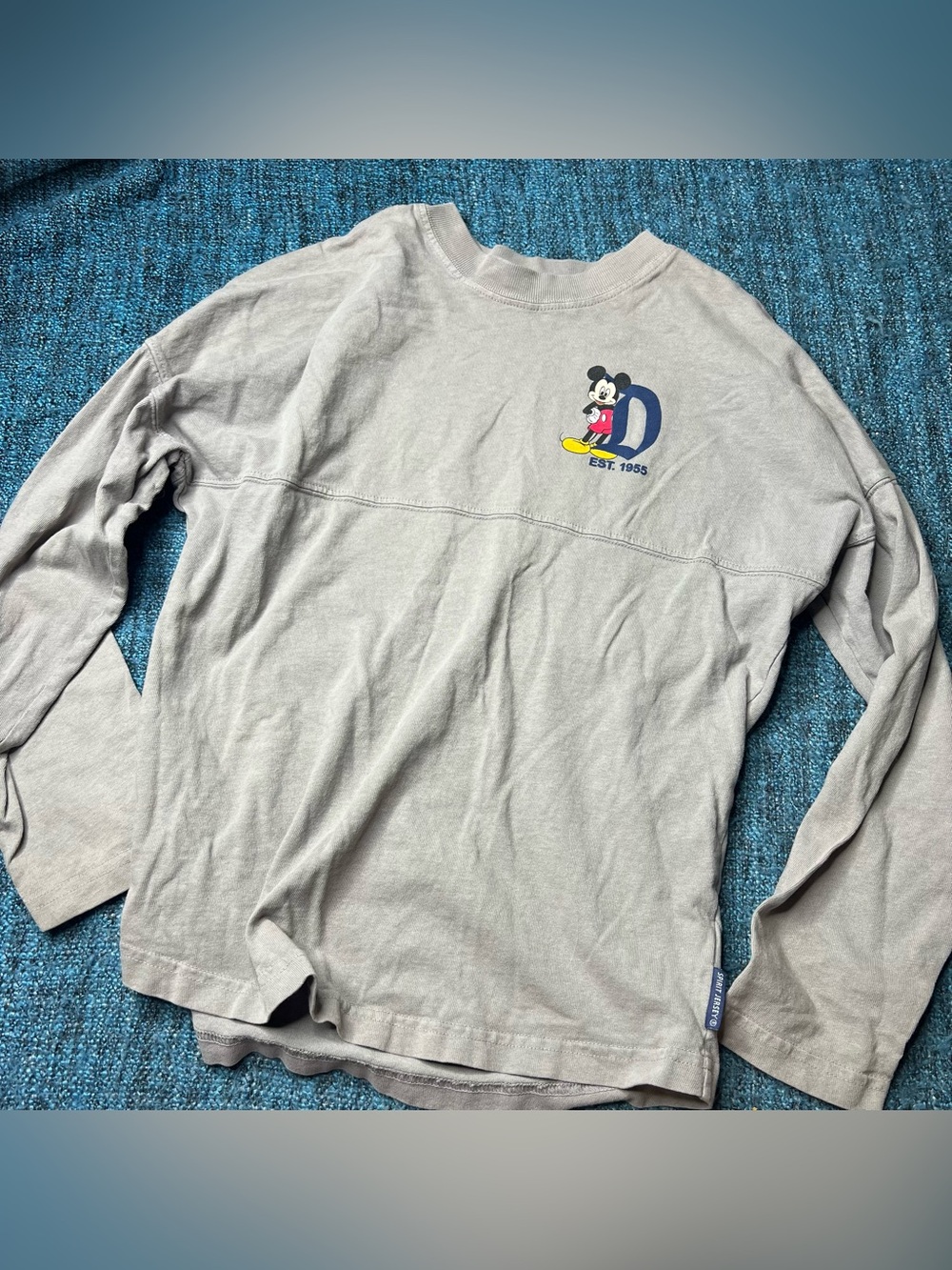 Disneyland Resort Youth Spirit Jersey in Gray Mickey Donald Pluto Goofy Large - Picture 3 of 7
